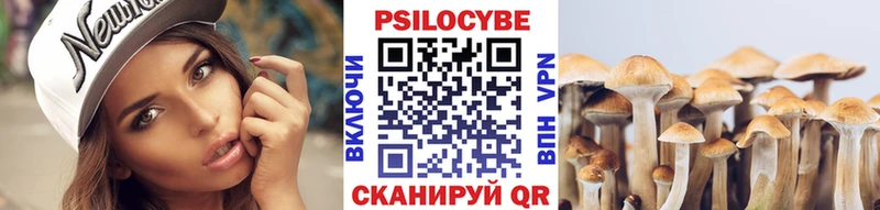 Купить где  Каменск-Шахтинский  Псилоцибиновые грибы мухоморы 